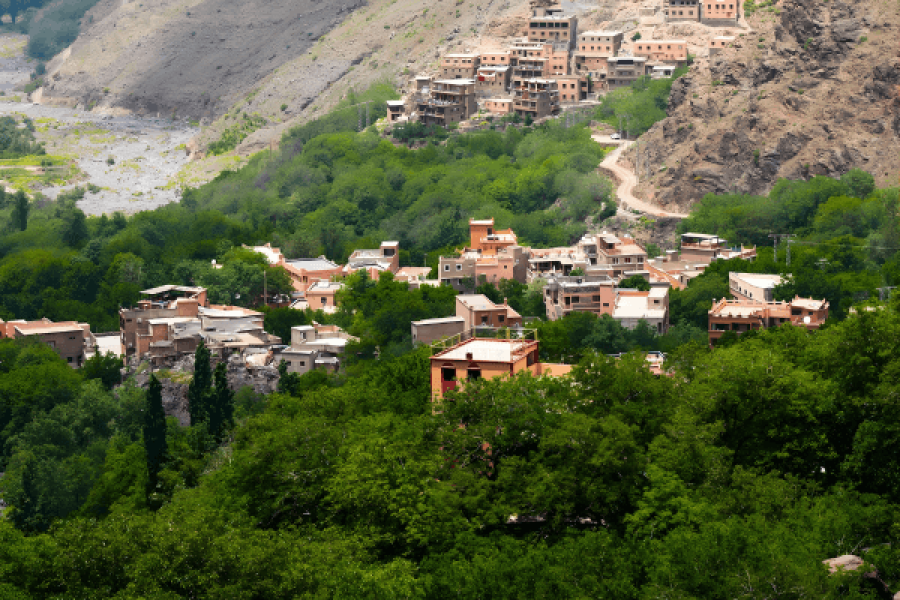 Ourika Valley Day Trip from Marrakech