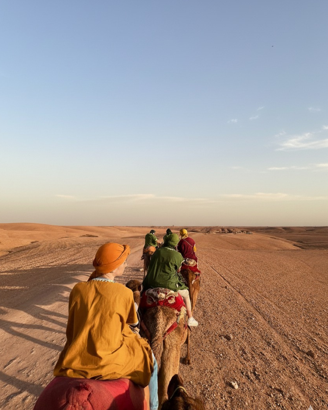 <span> 3rd Activity </span> Camel Ride at Sunset