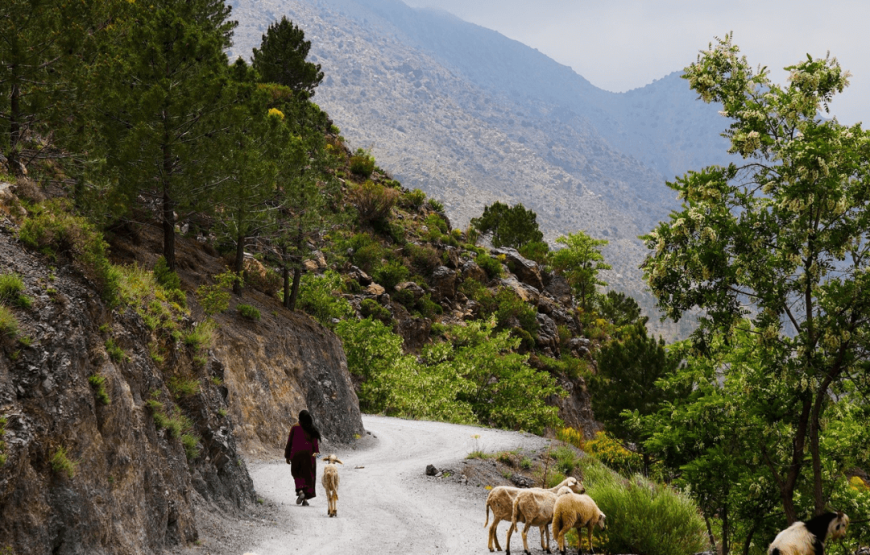 Private 5-Days Morocco Trip: Culture, Sahara, Adventure & Relaxation