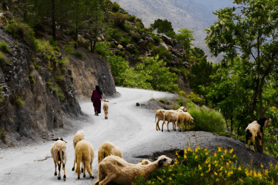 Imlil  Day Trip from Marrakech via Atlas Mountains