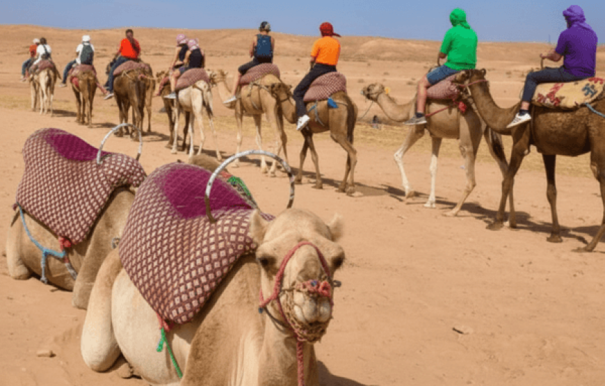 Private 5-Days Morocco Trip: Culture, Sahara, Adventure & Relaxation