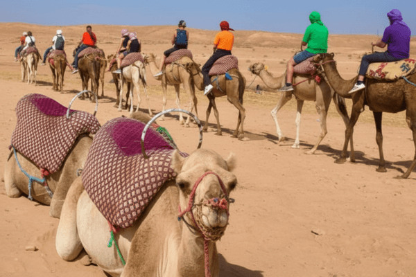 Luxury Lunch in Agafay Desert & Swimming Pool