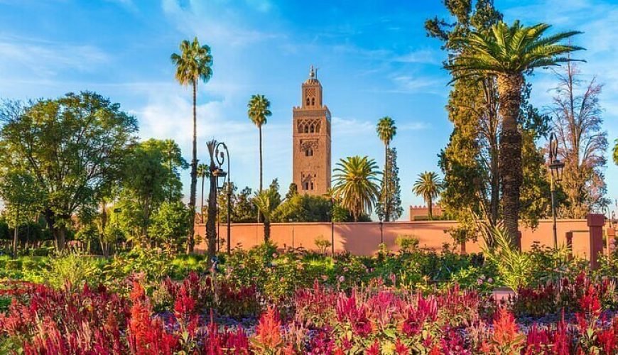 Top 7 Extraordinary Marrakech Activities You Cannot Miss in 2026