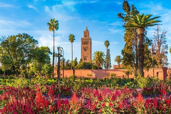 Top 7 Extraordinary Marrakech Activities You Cannot Miss in 2026